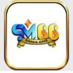 sm66one Profile Picture