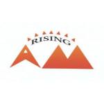 amrising Profile Picture