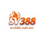 sv388 netim Profile Picture