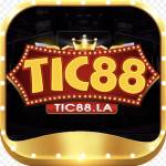 Tic88 La Profile Picture