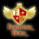Fortunabola Profile Picture