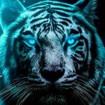 RavenReign Profile Picture