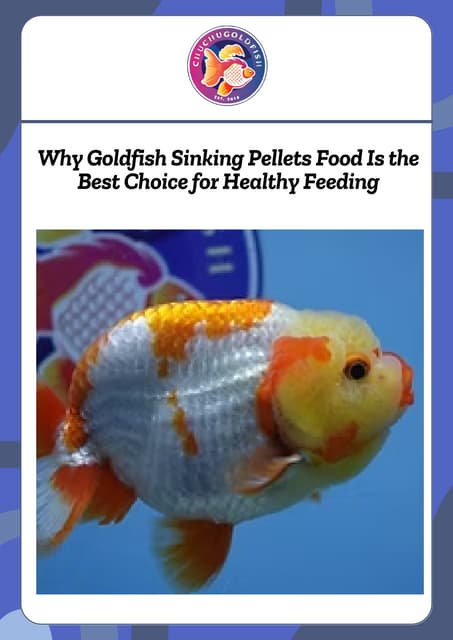 Why Goldfish Sinking Pellets Food Is the Best Choice for Healthy Feeding.pdf