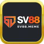 SV88 meme Profile Picture