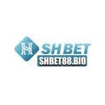 SHBET88 bio Profile Picture