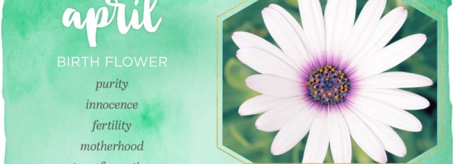 florist chennai Cover Image