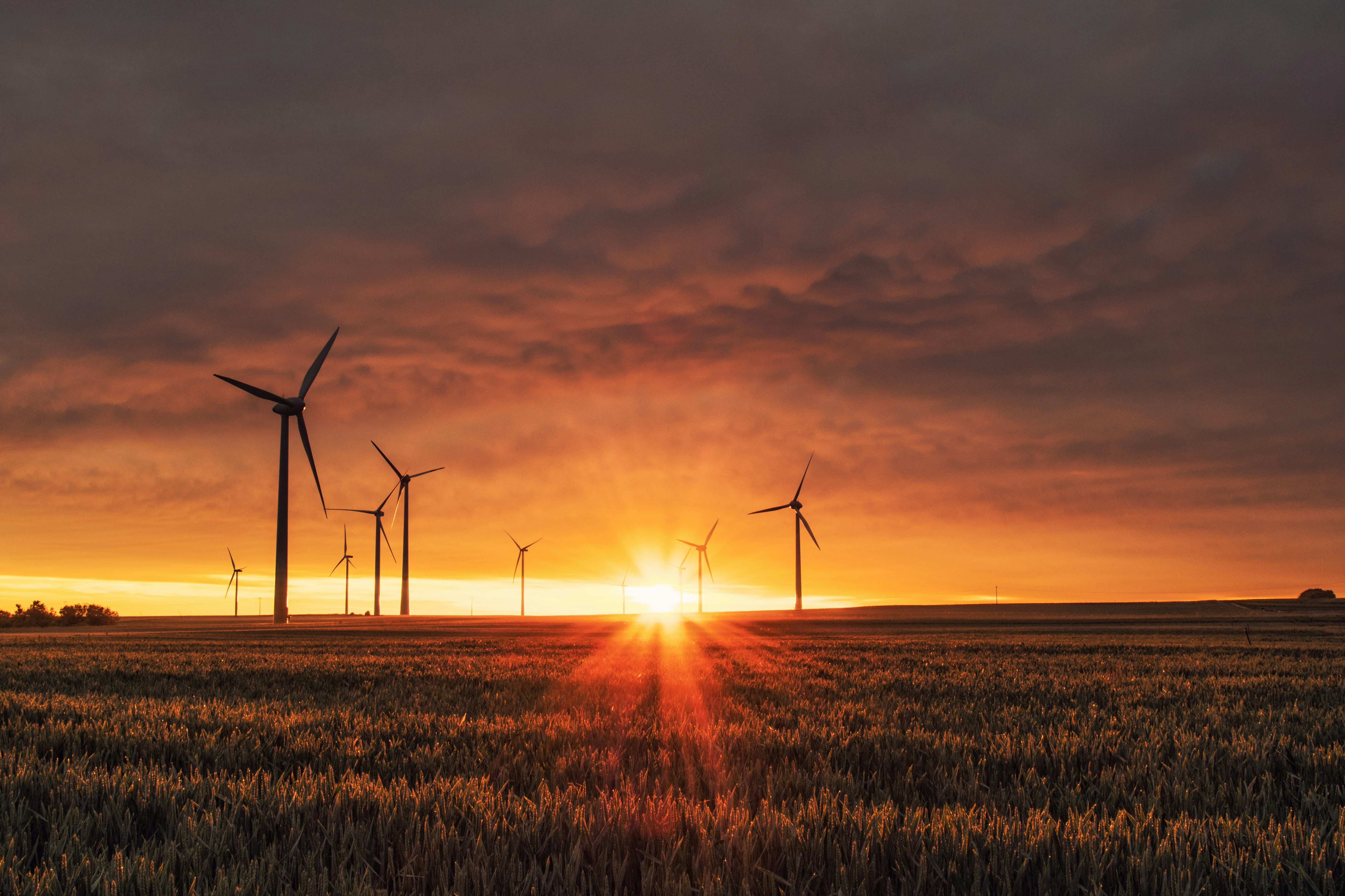 How to Prepare for Mandatory Climate Disclosures