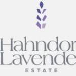 Hahndorf Lavender Estate Profile Picture