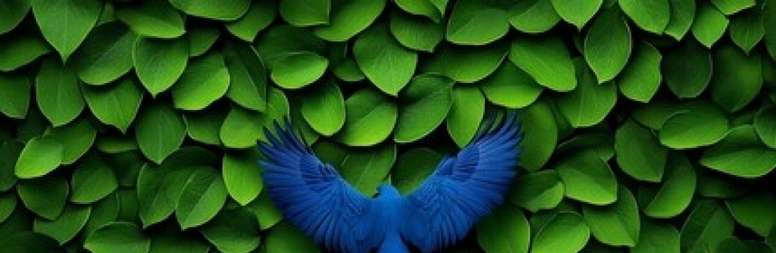 woll akaun sell Cover Image