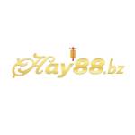 Hay88 Bz Profile Picture