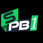 SPB1 Tempat berkumpulnya esensi game Profile Picture