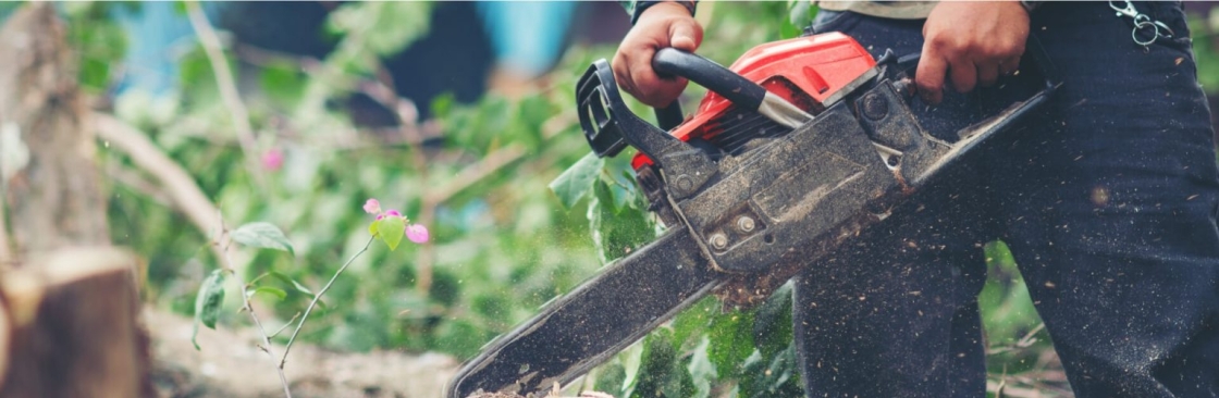 J and B Tree Service Cover Image