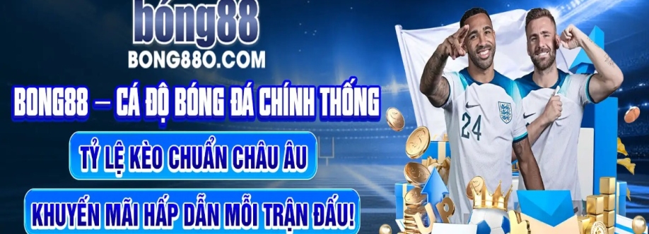 bong88o com Cover Image