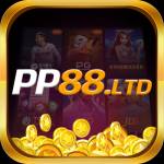 PP88 ltd Profile Picture