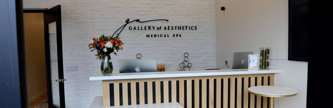 Gallery of Aesthetics Cover Image