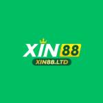 Xin88 ltd Profile Picture