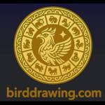 Birdivine Profile Picture
