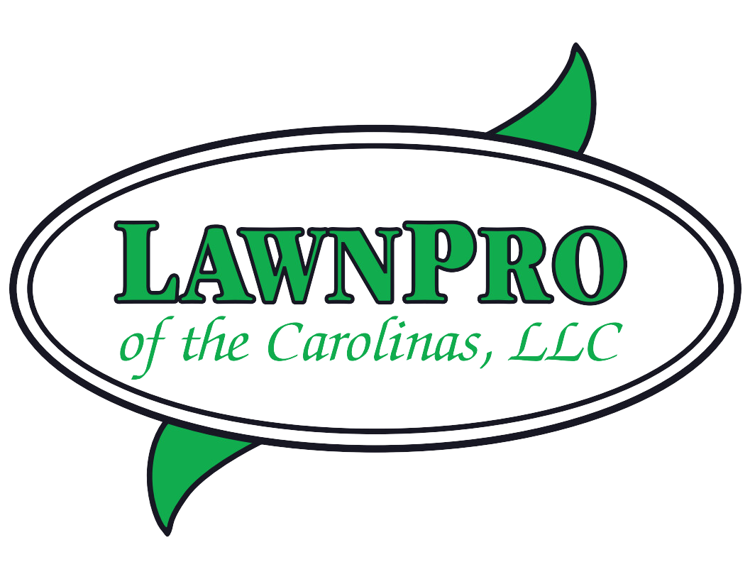 Best Lawn Care Company in Mooresville, NC