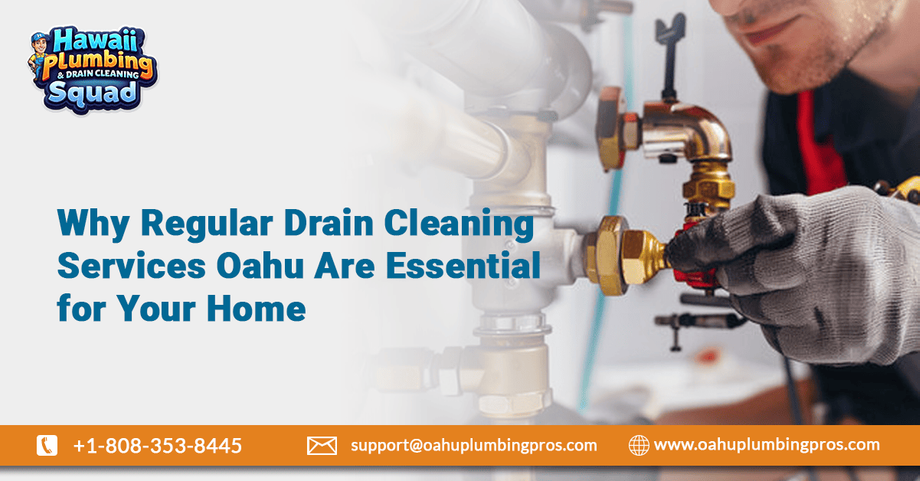 Why You Should Never Use Chemical Drain Cleaners in Oahu Homes - JustPaste.it