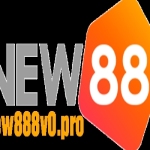 new888v0 pro Profile Picture