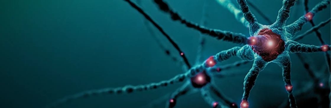 Brain Stim Cover Image