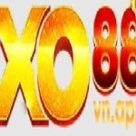 XO 88 Profile Picture