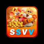 ssvv homes Profile Picture