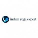 Indian yoga Exxpert Profile Picture