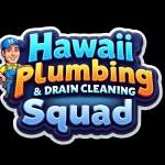 Hawaiiplumbing Profile Picture