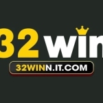 32winn it com Profile Picture