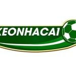 Kèo bóng đá Profile Picture