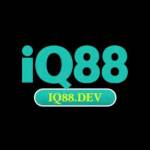 Iq88 Dev Profile Picture