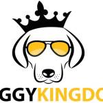 doggykingdom Profile Picture