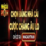 lehongxuannhacaiuytin Profile Picture