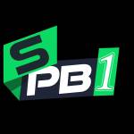 SPB Tempat Profile Picture