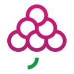 GrapesTech Solutions Profile Picture
