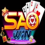 Saowin accountant Profile Picture
