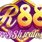 Rr88h Profile Picture