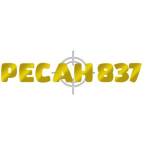 pecah837 Profile Picture