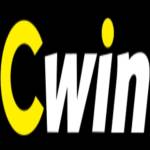 CWIN sa com Profile Picture