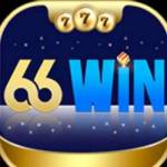 66WIN Vin Profile Picture