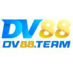 DV 88 Profile Picture