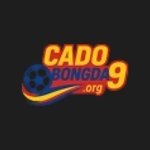 cadobongda9org Profile Picture
