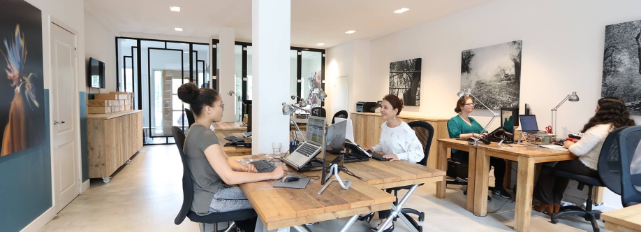 ESSD Consulting Cover Image