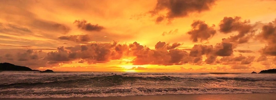 Peyton Dickerson Cover Image