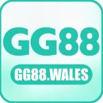 gg88 wales Profile Picture