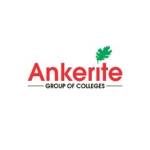 Ankerite Group Profile Picture