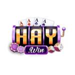 Haywin Điểm đến cá cược Profile Picture