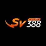 SV388 Moe Profile Picture