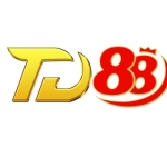 Td88 clothing Profile Picture